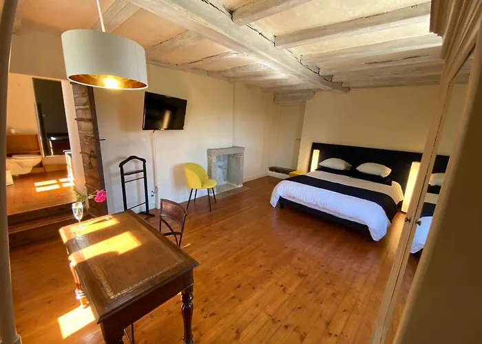 Le Durivum 4* Montaigu-Vendee